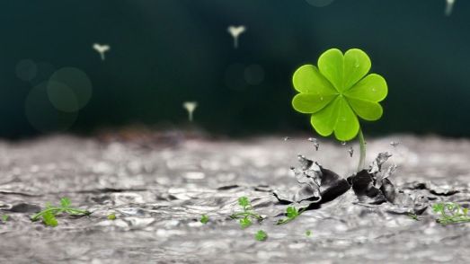 Top 3 zodii care se îmbogăţesc în septembrie. BANII încep să cadă din cer, peste noapte!