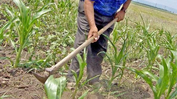 A vrut să-şi niveleze terenul, dar a făcut o descoperire şocantă. Imediat a alertat autorităţile