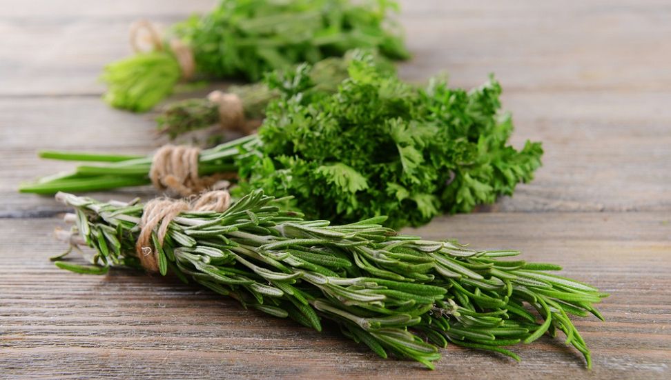 Cum să păstrezi verdețurile proaspete pentru o perioadă mai mare de timp. Sfaturi pentru toate femeile care gătesc acasă