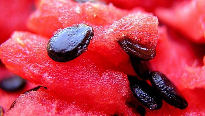 A strâns seminţe de pepene roşu. E incredibil ce a făcut cu ele! Nu le vei mai arunca niciodată