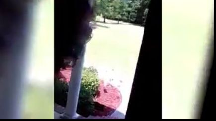 Era în casă și a auzit un zgomot puternic. Ce a urmat...