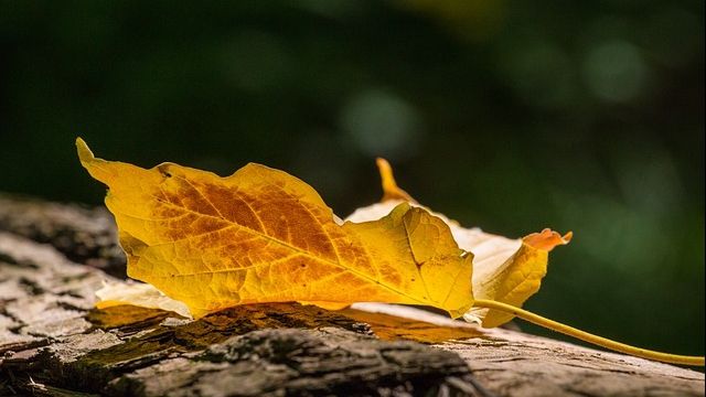 Iar se schimbă vremea. Ce temperaturi vor fi marți, miercuri și joi