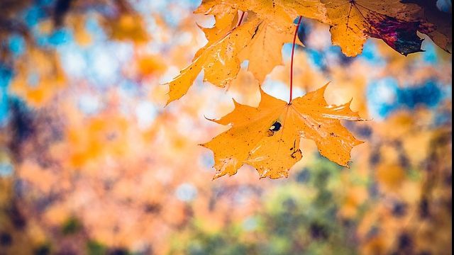 Vremea surprinzătoare joi și vineri. Ce temperaturi vor fi, în întreaga țară