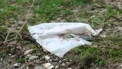 A auzit un zgomot lângă pârâu şi a văzut un sac. Când l-a deschis asistenta medicală a încremenit 