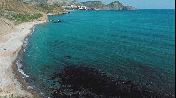 Specialiștii fac un anunț ȘOCANT: Marea Neagră, cea mai poluată din Europa!