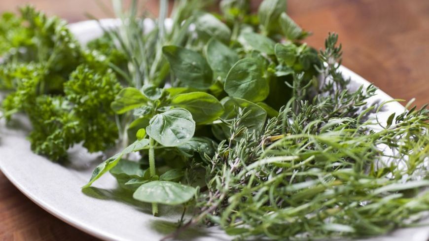 Urmaşii vracilor daci din România dezvăluie leacurile vechi: "După 89, a fost o explozie de cancere"