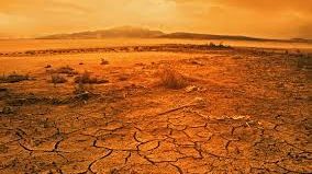 VIDEO. Fenomen uluitor în cel mai arid deşert din lume