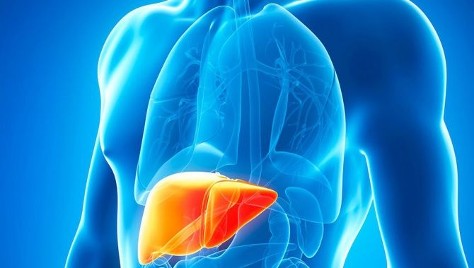 SEMNELE care te avertizează că ficatul tău este plin de TOXINE 