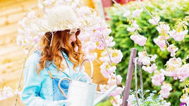 Horoscopul florilor. Vezi ce floare te reprezintă și ce spune despre tine 