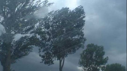 ANM: Duminică la ora 15.28 a fost emis primul cod portocaliu, vizând județul Timiș