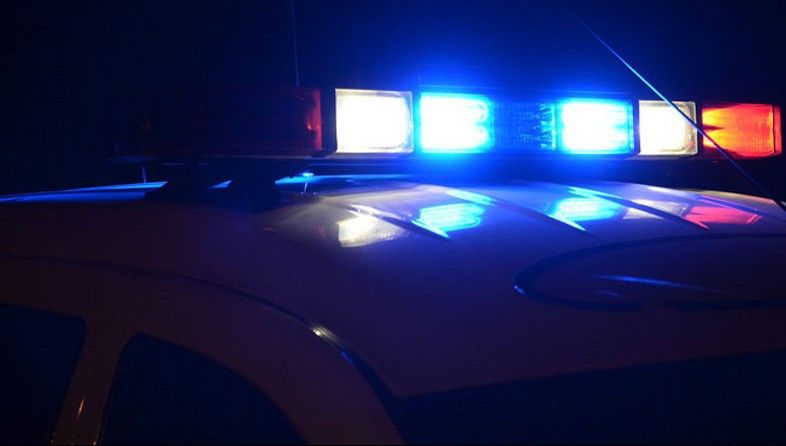 Poliţia a tras un camion pe dreapta. Când s-au uitat în remorcă, au încremenit. Ce au găsit acolo