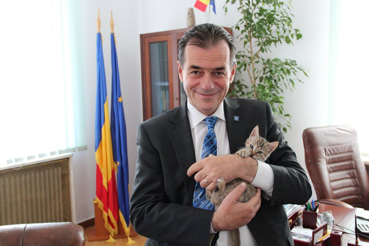 Ludovic Orban, despre variante de nume pentru pisica postată pe Facebook: ”Codruța? E o idee”