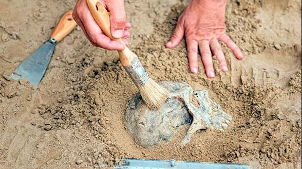 Descoperire fabuloasă în insula Creta: ar putea rescrie EVOLUŢIA OMULUI!