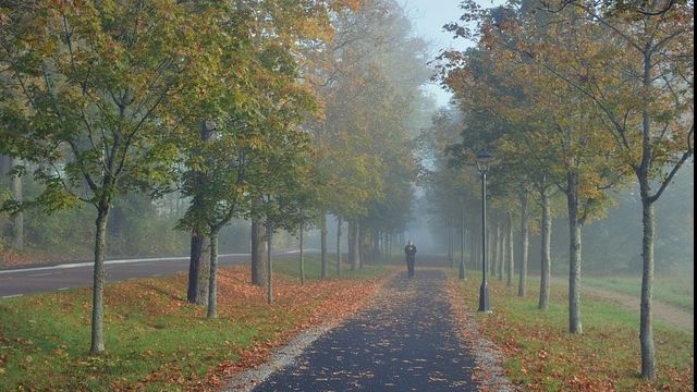 Vremea în weekend. Unde vin ploile 