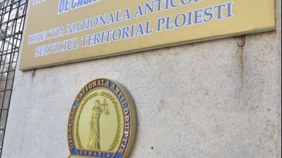 Ana Maria Pătru, fosta şefă AEP, plasată sub control judiciar de DNA, într-un nou dosar