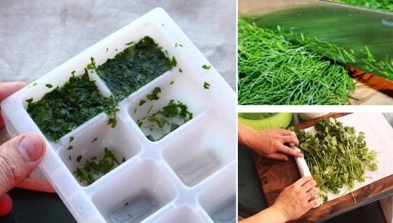 Cum se pun corect la congelator mărarul şi pătrunjelul