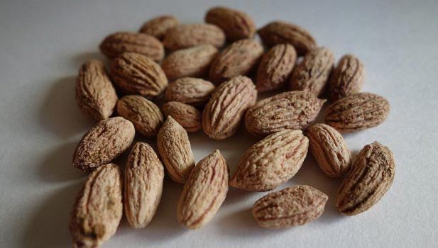 A uscat sâmburi de măsline şi apoi i-a făcut pudră. A luat o linguriţă. Acea zi i-a schimbat viaţa!