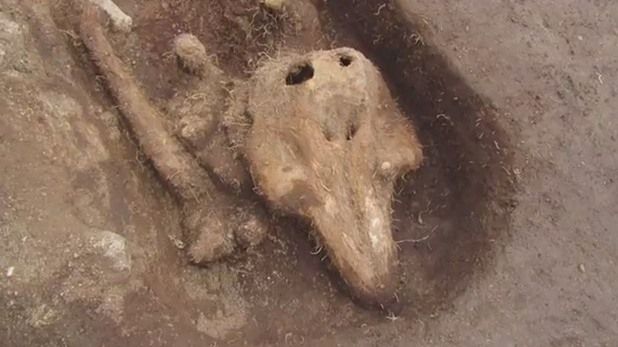 Descoperire bizară într-un cimitir medieval izolat: "Nu am mai întâlnit aşa ceva"