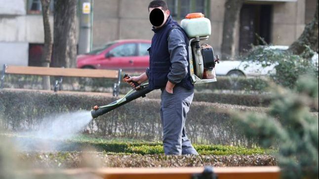 Primăria Capitalei combate ţânţarii toamna. Firma care a câştigat, ABONATĂ la contracte cu statul