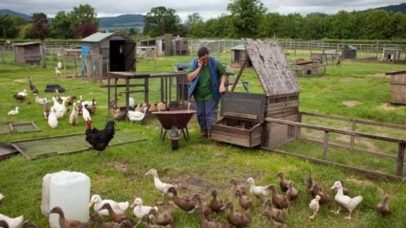Liceul din România care va avea propria fermă