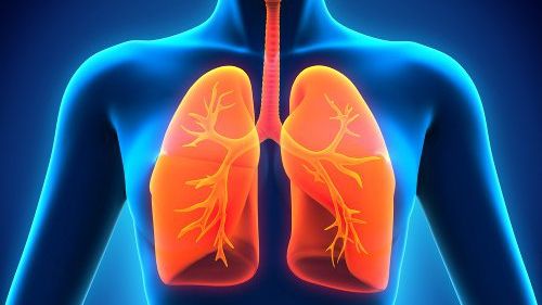 Dieta care poate preveni cancerul pulmonar