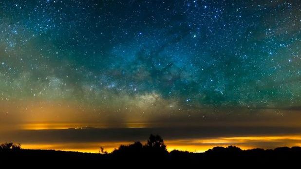 Un bărbat a filmat "Raiul" timp de şapte zile. Ceea ce a observat este uimitor