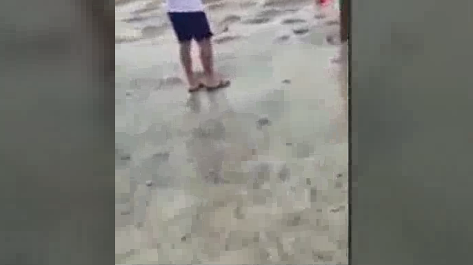 Imagini apocaliptice în urma urganului Irma! Oceanul a secat la marginea plajelor