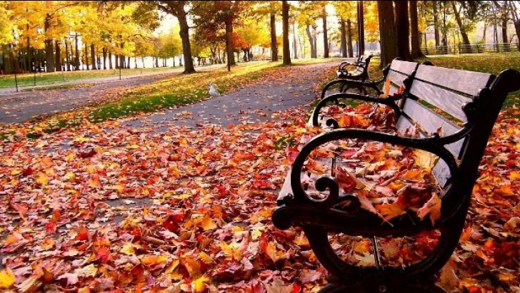 Anunţ important de la meteo: Cum va fi vremea în următoarele zile