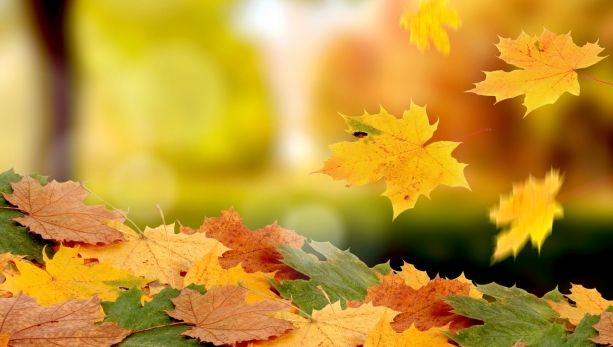 Vremea se răcește sever în toată țara. Prognoza meteo pentru următoarea perioadă