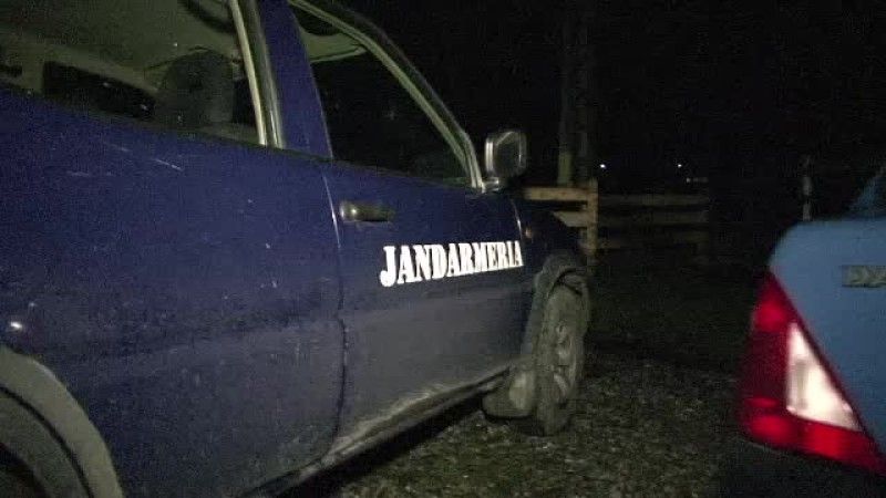 Fetiţa de doi ani dispărută în pădure a fost găsită la un kilometru de casă