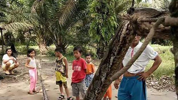 S-a luat la ”bătaie” cu un șarpe monstru. Ce a urmat este INCREDIBIL