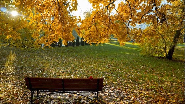 O nouă schimbare a vremii. Prognoza meteo pentru miercuri, joi și vineri