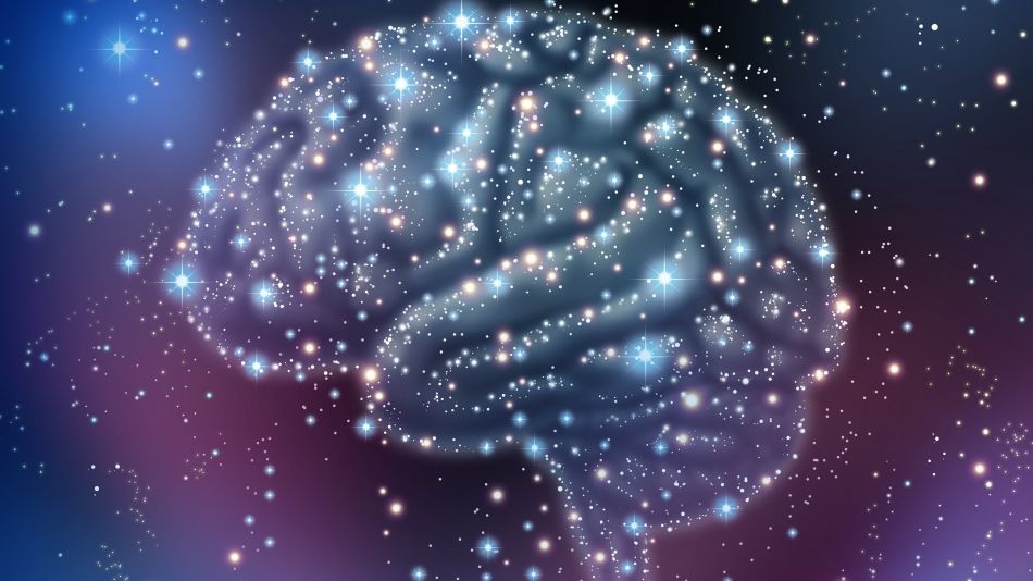 Alimentele care mențin creierul tânăr și protejează memoria. Tu le consumi?