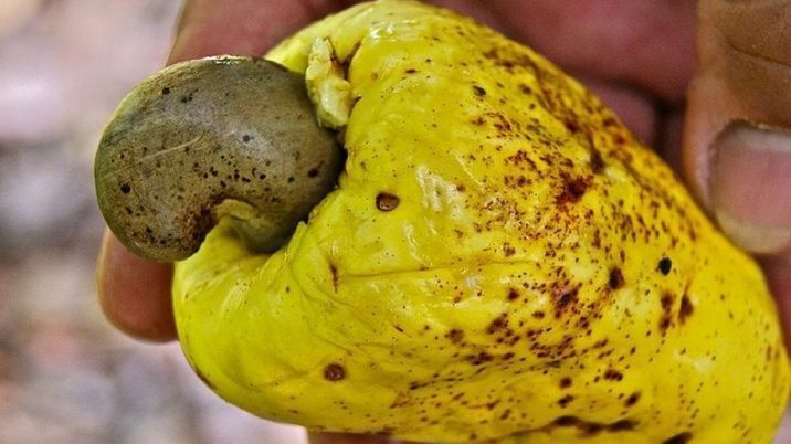 Imagine care te va pune în încurcătură! Tu știi ce e în fotografie?