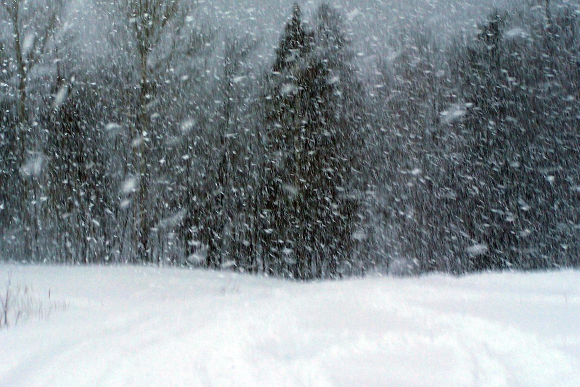 Cod portocaliu și galben de vânt intens, lapoviță și ninsoare în România. Ce zone sunt vizate