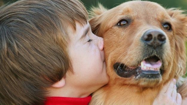 De ce câinii nu trăiesc la fel de mult ca oamenii. Explicaţia unui copil de şase ani