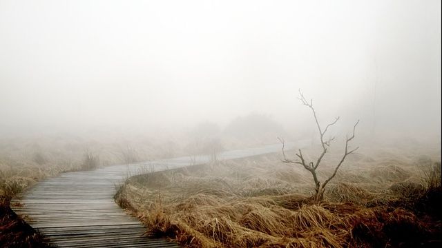Scad iar temperaturile. Cât de frig va fi și unde va ploua în weekend