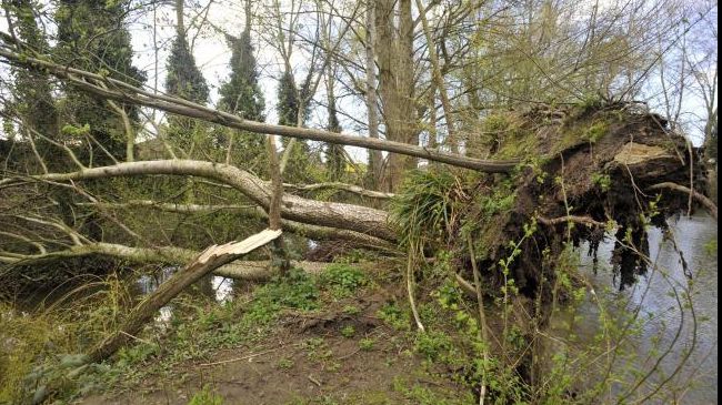 Atenţie - un oraş din România şi-a ÎNCHIS publicului toate parcurile, din cauza vântului puternic