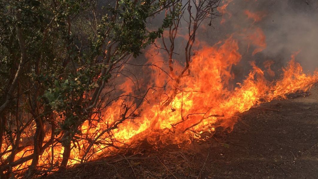 Incendii devastatoare în SUA. Cel puțin 11 oameni au murit
