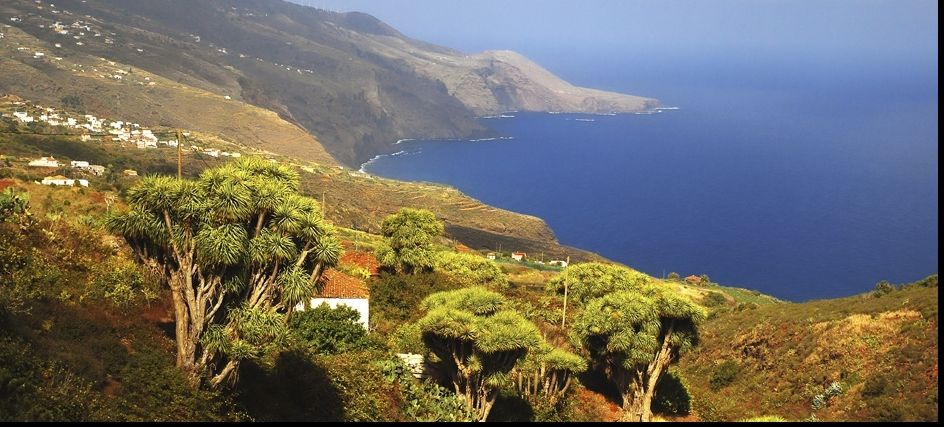 Panică: în ce loc de pe Glob au avut loc 352 de CUTREMURE în 10 zile