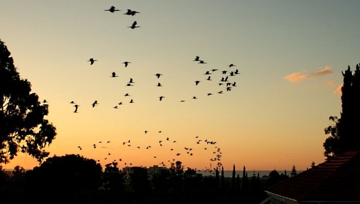 Sfaturi motivaţionale care te vor ajuta să treci peste necazuri