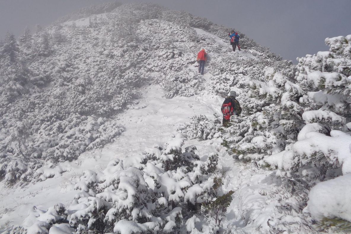 Ninsoare și furtuni în România! Drumuri blocate, trenuri întârziate. Localități fără curent electric