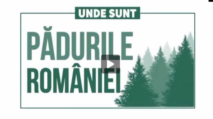 Cât a mai rămas din pădurile României?