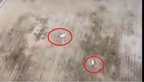 Fenomen bizar în Mexic, după cutremurul devastator. Peștii au căzut din cer