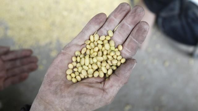 America nu mai crede în soia!