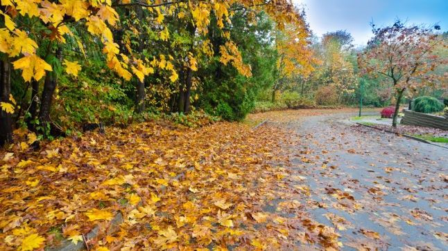 Superstiţii în luna octombrie: Ce trebuie să faci în această lună pentru a avea noroc