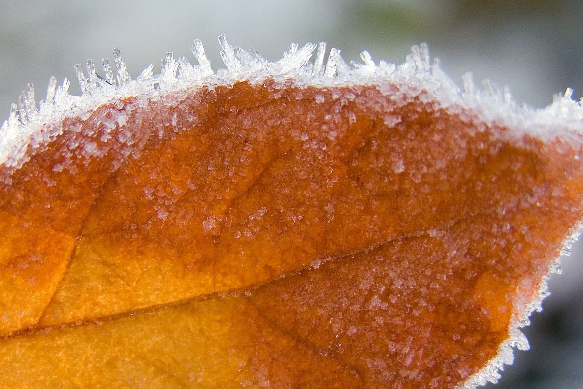 Ce au văzut locuitorii Moscovei pe geam, luni dimineaţă - GALERIE FOTO