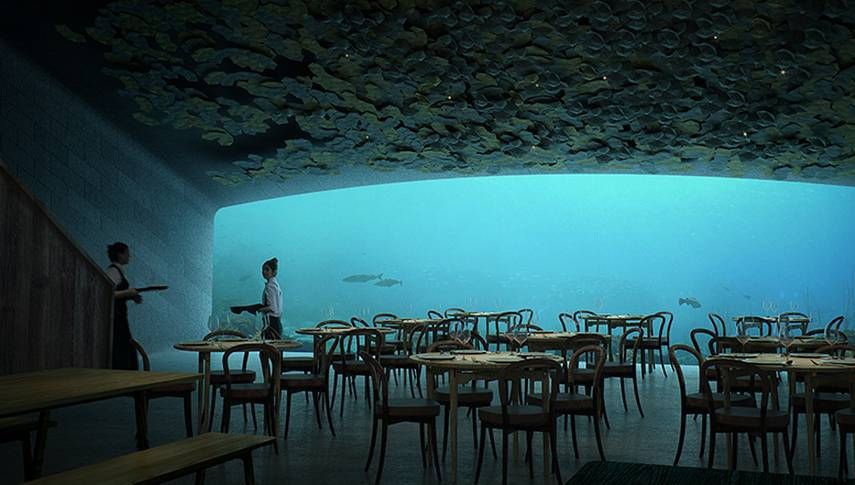 Unde se va deschide primul restaurant subacvatic din Europa, la 5 m sub apă    