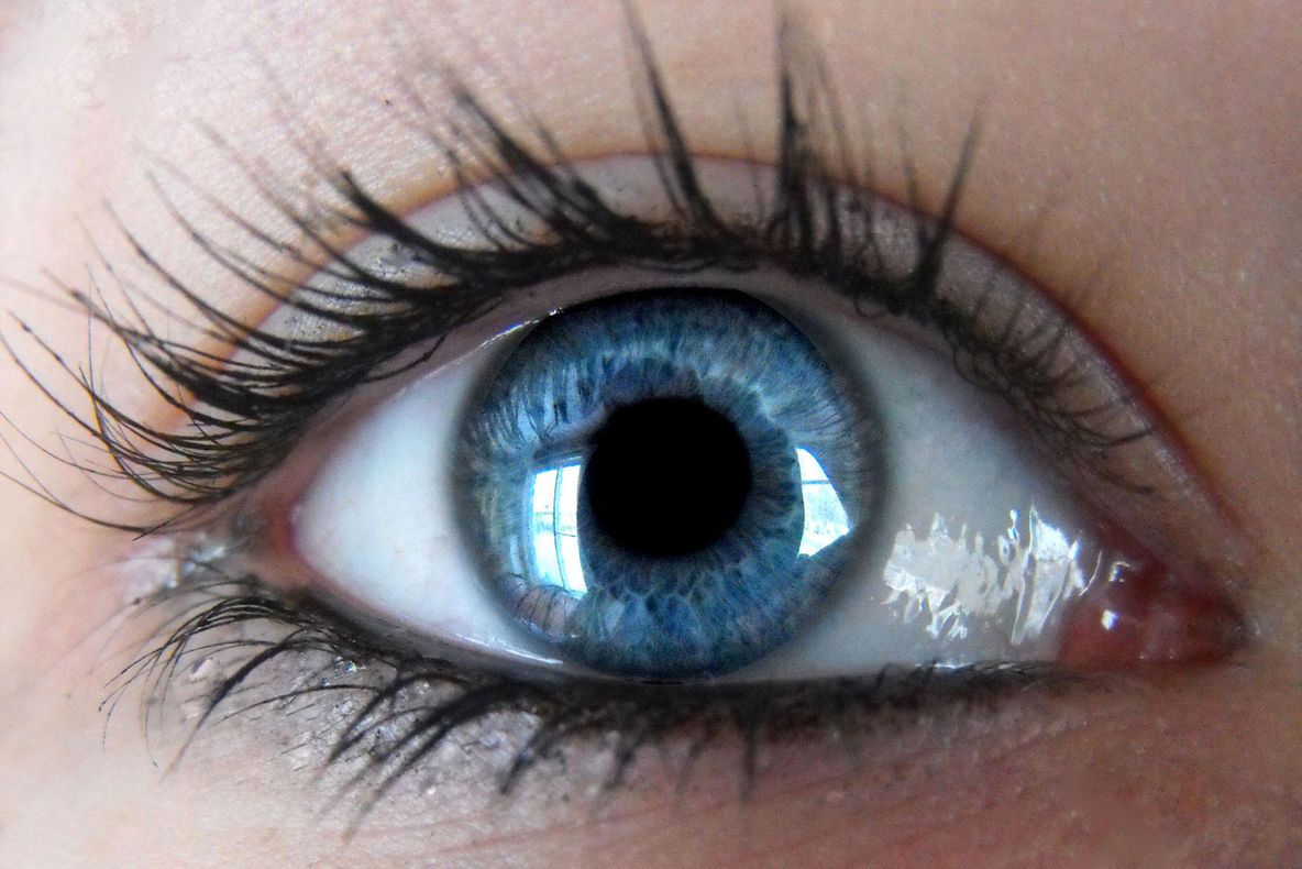 Toţi oamenii cu ochi albaştri de pe Pământ au acelaşi strămoş. S-a aflat cine este această persoană