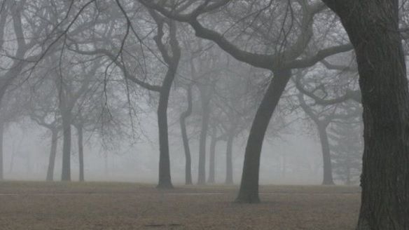 Cod galben de ceață în mai multe județe sâmbătă dimineață. Vizibilitate sub 200 de metri